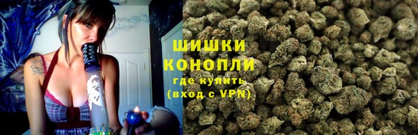 трава Алзамай