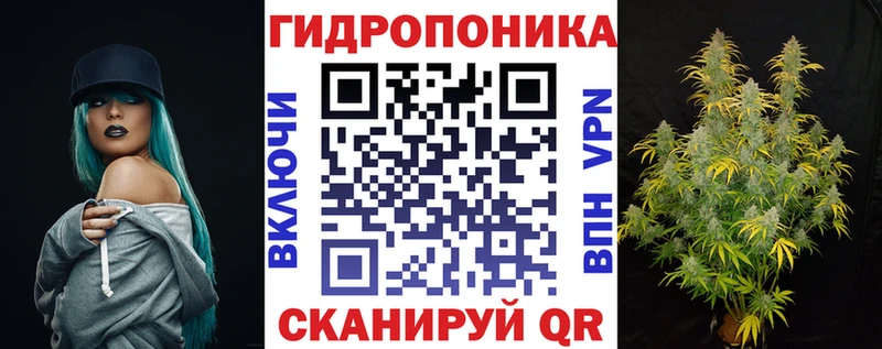 наркота  Солнечногорск  Канабис планчик 